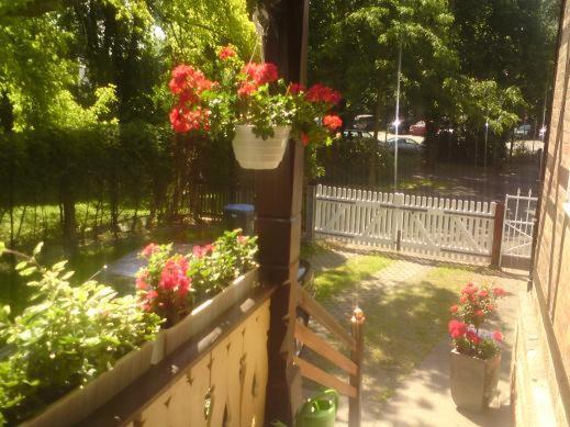 Haus Amelie Apartment Bad Salzungen Bagian luar foto